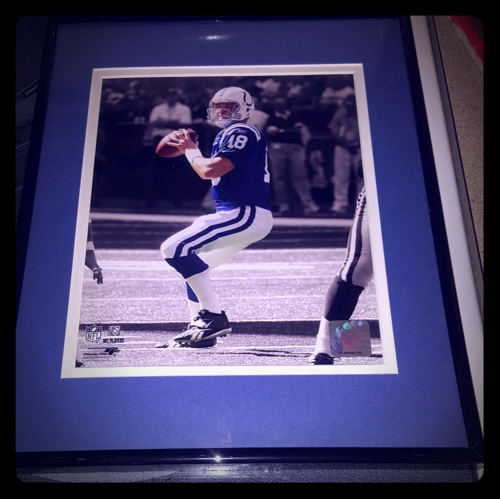 Peyton Manning NFL numbered Picture 2009